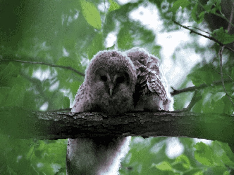 试管代孕医疗环境